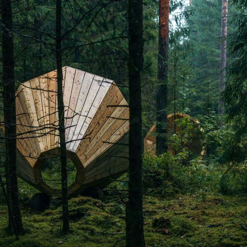 Forest art — Sendero Sur